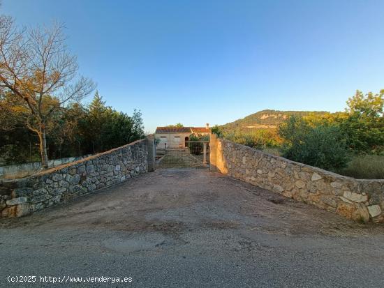 FINCA RUSTICA EN LLOSETA - BALEARES