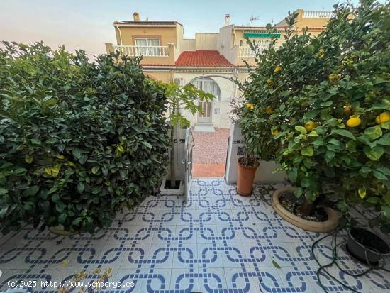 Adosado en El Chaparral con jardín y terraza - ALICANTE