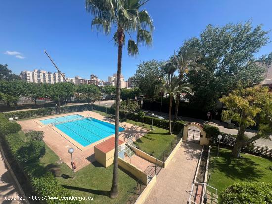 Alquiler de temporada en la Playa de Gandía - VALENCIA