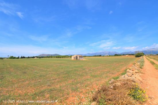 Finca rústica con caseta de campo y  magnificas vistas a la Serra de Tramuntana en Llubi - BALEARES