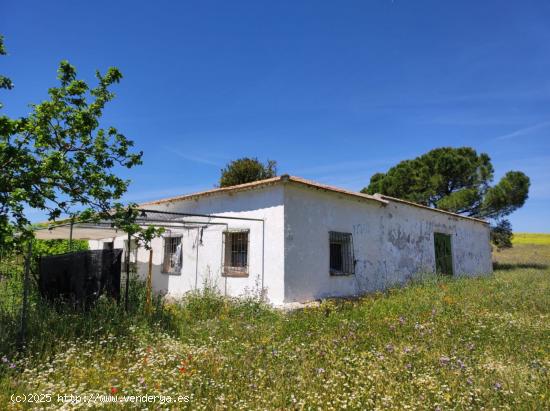 TERRENO EN CIUDAD REAL CARRETERA DE TOLED0 LA ATALAYA - CIUDAD REAL