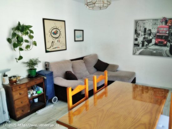  Apartamento en alquiler en Granada (Granada) 