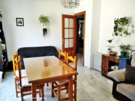 Apartamento en alquiler en Granada (Granada)