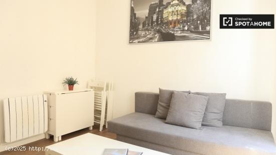 Apartamento de 2 dormitorios en alquiler en Lavapiés, Madrid - MADRID