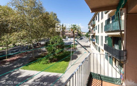 Piso en venta en Cambrils (Tarragona)