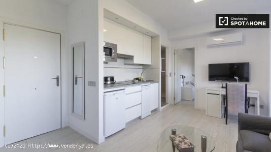 Luminoso apartamento de 1 dormitorio en alquiler en Puerta del Ángel - MADRID