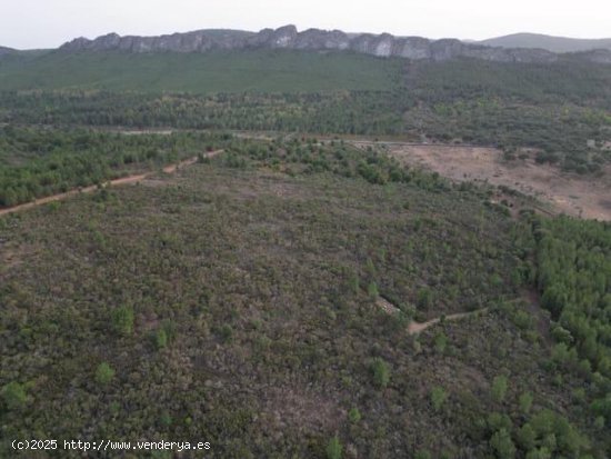  Finca en venta en Valencia de Alcántara (Cáceres) 