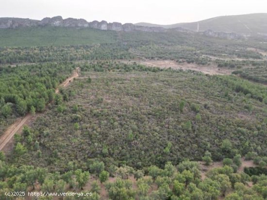 Finca en venta en Valencia de Alcántara (Cáceres)