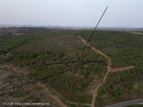 Finca en venta en Valencia de Alcántara (Cáceres)