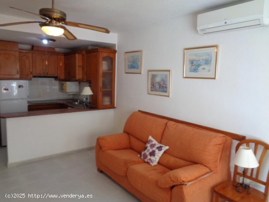 Apartamento en venta en Torrevieja (Alicante)