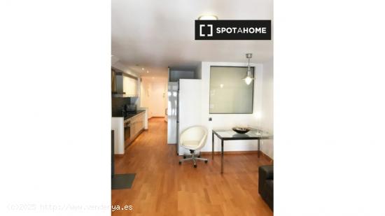 Bonito apartamento de 1 dormitorio en alquiler en El Raval - BARCELONA