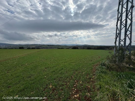  Finca en venta en Garínoain (Navarra) 