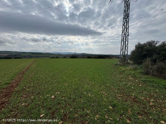 Finca en venta en Garínoain (Navarra)