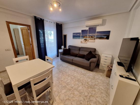  Apartamento en alquiler en Torrevieja (Alicante) 