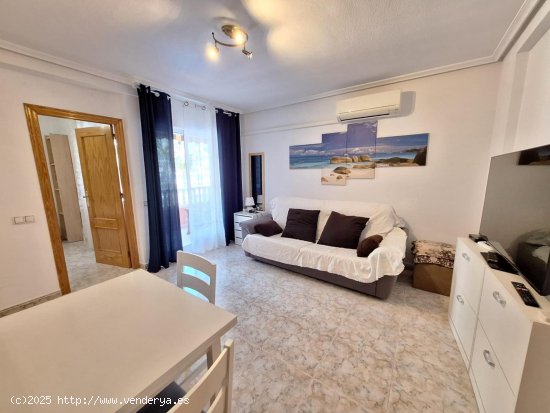 Apartamento en alquiler en Torrevieja (Alicante)