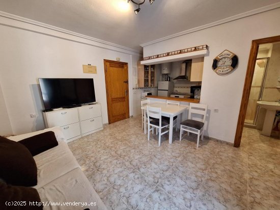 Apartamento en alquiler en Torrevieja (Alicante)