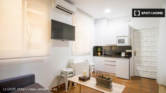 Apartamento de 1 dormitorio en alquiler cerca del Mercado de San Fernando en Centro - MADRID