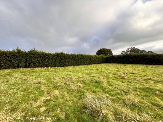 Finca en venta en Villaviciosa (Asturias)