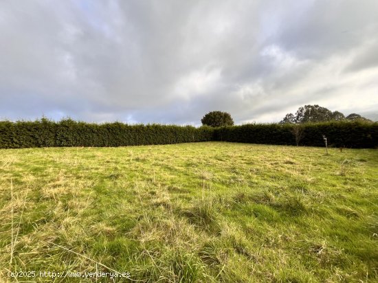 Finca en venta en Villaviciosa (Asturias)