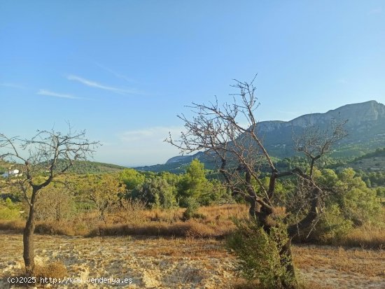 Parcela en venta en Benissa (Alicante)