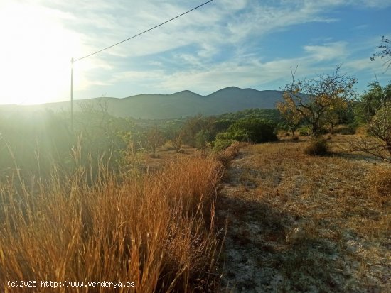 Parcela en venta en Benissa (Alicante)