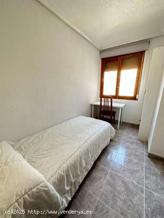  Se alquila habitación en piso compartido en Alicante - ALICANTE 