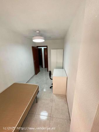  Se alquila habitación en piso compartido en Murcia - MURCIA 