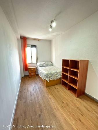  Se alquila habitación en piso compartido en Valencia - VALENCIA 