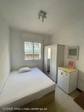  Se alquila habitación en piso de 4 dormitorios en Barcelona - BARCELONA 