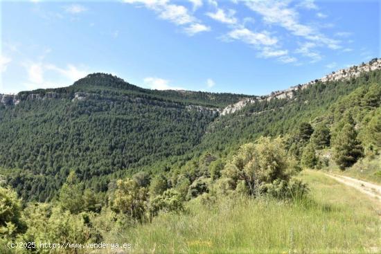 Se Vende en Peñarroya de Tastavins - TERUEL