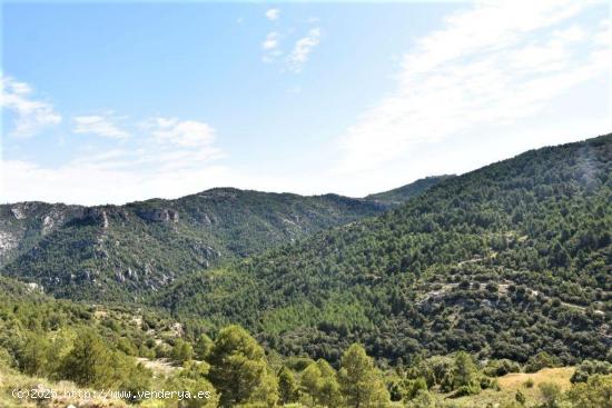 Se Vende en Peñarroya de Tastavins - TERUEL