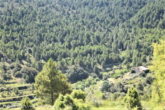 Se Vende en Peñarroya de Tastavins - TERUEL