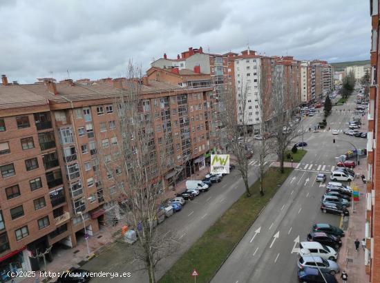  ZONA GAMONAL EXTERIOR. - BURGOS 