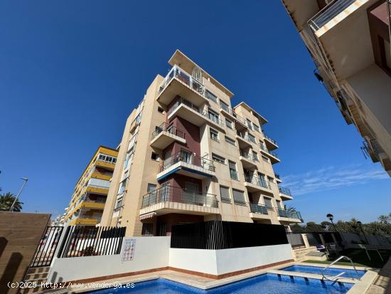 GRAN APARTAMENTO PLANTA BAJA EN TORREVIEJA, 2 HAB, 1 BAÑO - ALICANTE