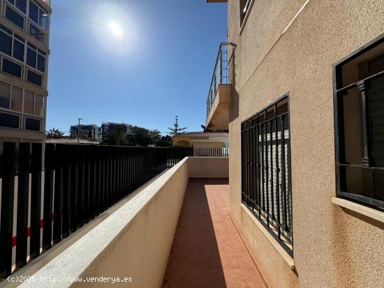 GRAN APARTAMENTO PLANTA BAJA EN TORREVIEJA, 2 HAB, 1 BAÑO - ALICANTE