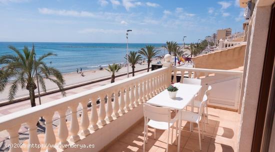 PRECIOSO PISO EN PRIMEA LÍNEA DE LA PLAYA DEL CAMPELLO. - ALICANTE