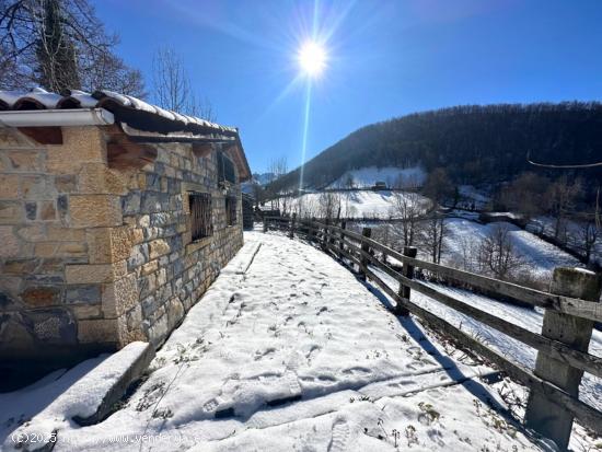  CABAÑA DE MONTAÑA EN FELECHOSA, ALLER (ASTURIAS) - ASTURIAS 