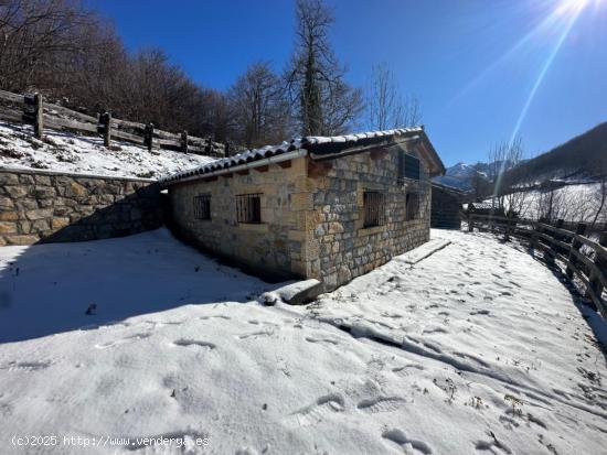 CABAÑA DE MONTAÑA EN FELECHOSA, ALLER (ASTURIAS) - ASTURIAS