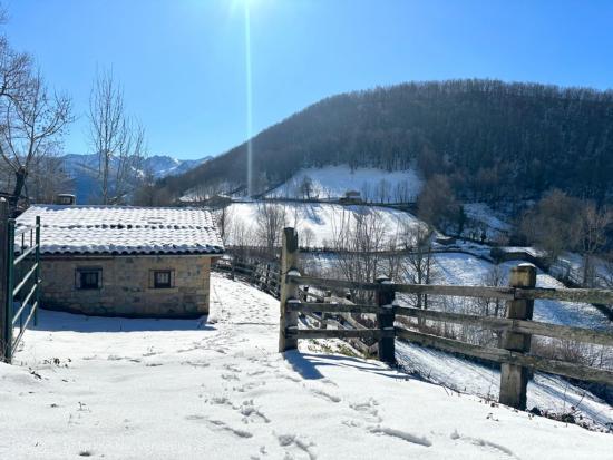 CABAÑA DE MONTAÑA EN FELECHOSA, ALLER (ASTURIAS) - ASTURIAS