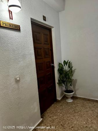 🏡 AMPLIO PISO EN EL CENTRO DE MURCIA – ¡OPORTUNIDAD ÚNICA! 🏡 - MURCIA