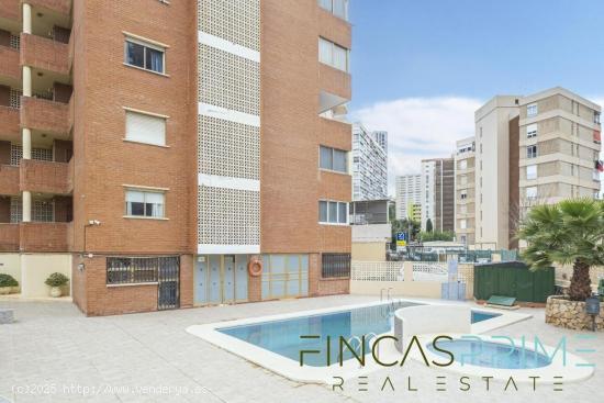  EXCELENTE APARTAMENTO  REFORMADO DE 1 HAB EN ALQUILER ABRIL Y MAYO ZONA RINCON - ALICANTE 