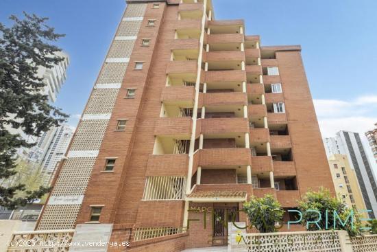 EXCELENTE APARTAMENTO  REFORMADO DE 1 HAB EN ALQUILER ABRIL Y MAYO ZONA RINCON - ALICANTE