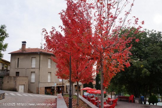 Hostal en venta  en Nou de Berguedà, La - Barcelona