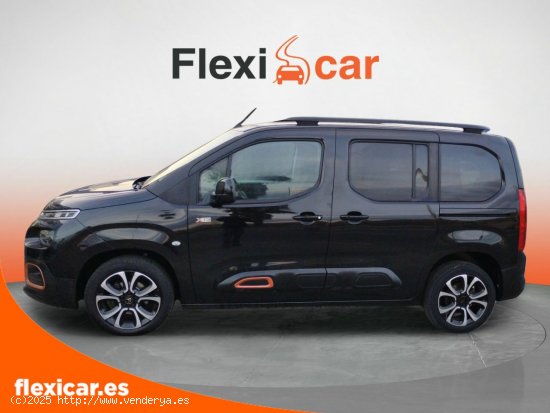 Citroën Berlingo Talla XL BlueHDi 100 FEEL - Cáceres