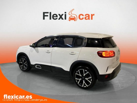 Citroën C5 Aircross BlueHdi 96kW (130CV) S&S Feel - Biscay