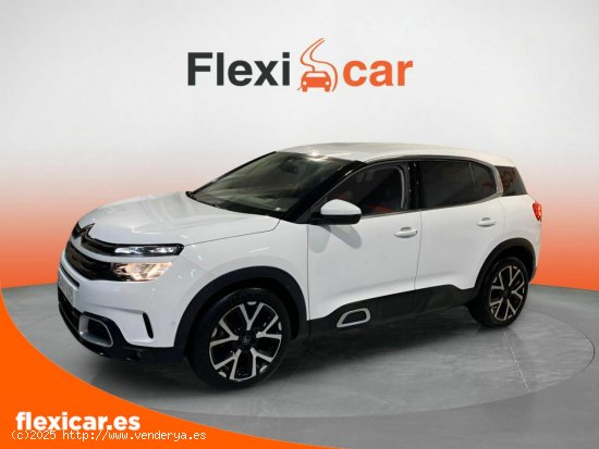 Citroën C5 Aircross BlueHdi 96kW (130CV) S&S Feel - Biscay