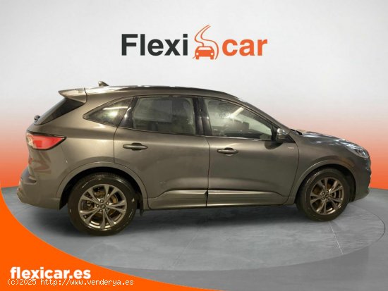 Ford Kuga ST-Line 1.5T EcoBoost 110kW (150CV) - Biscay