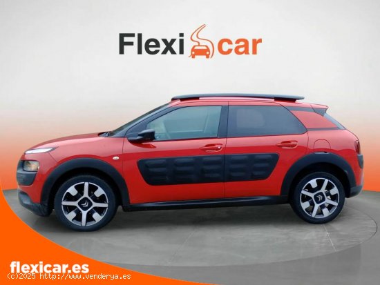 Citroën C4 Cactus PureTech 110cv S&S Feel Edition - Santander