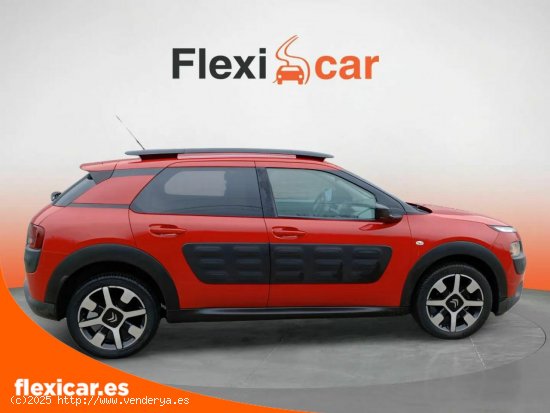 Citroën C4 Cactus PureTech 110cv S&S Feel Edition - Santander