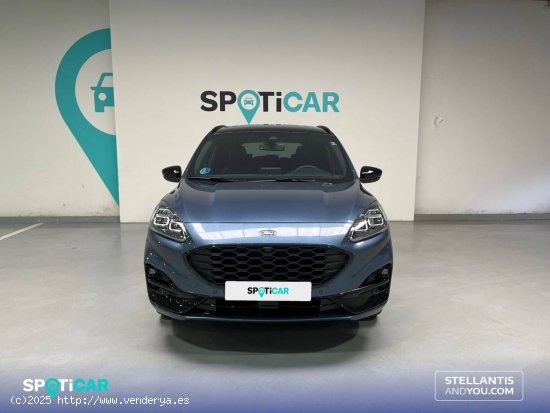 Ford Kuga   2.5 Duratec FHEV Auto ST-Line X - Oleiros